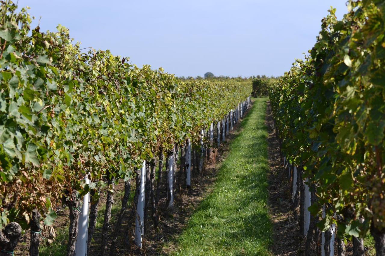 Zauber Der Pfalz Romerberg Exterior foto